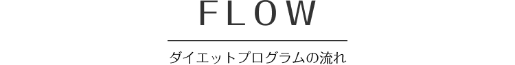 ダイエットプログラムの流れ